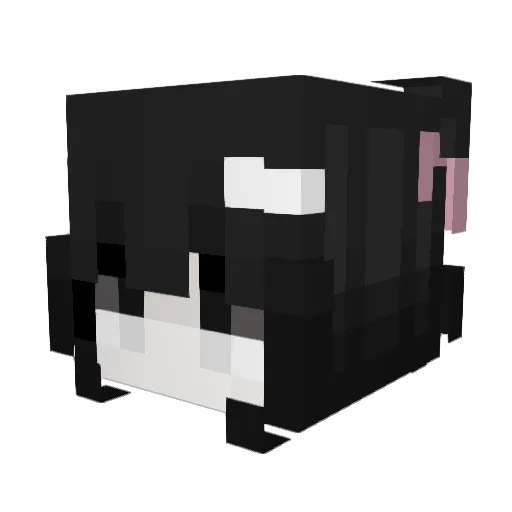 wompwomp101 Minecraft avatar head, 3D render