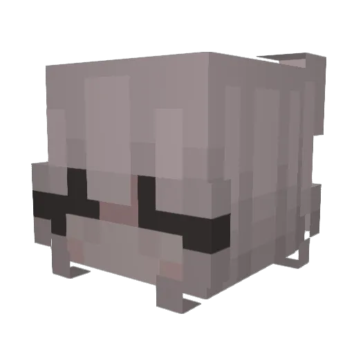 wompwomphaha Minecraft avatar head, 3D render