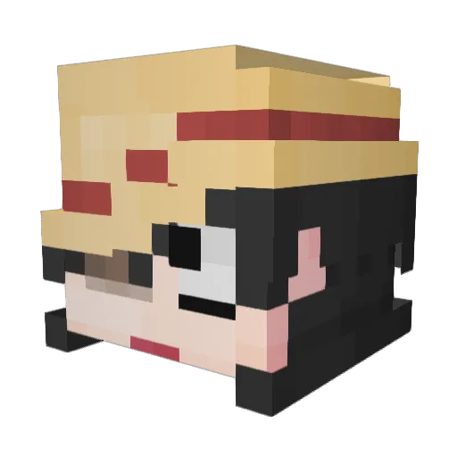 won529 Minecraft avatar head, 3D render
