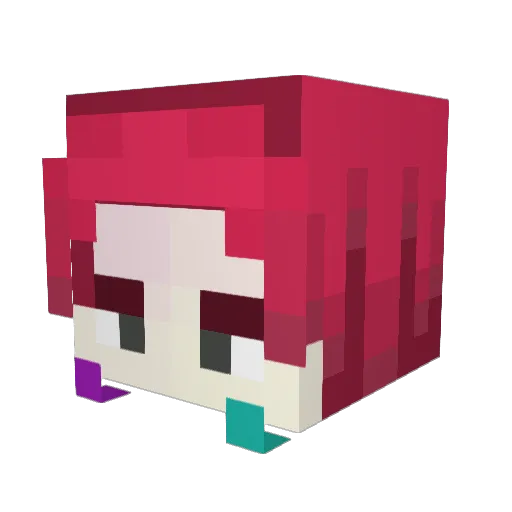 won__tuan Minecraft avatar head, 3D render