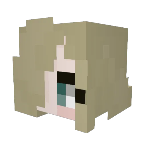 wonaM Minecraft avatar head, 3D render