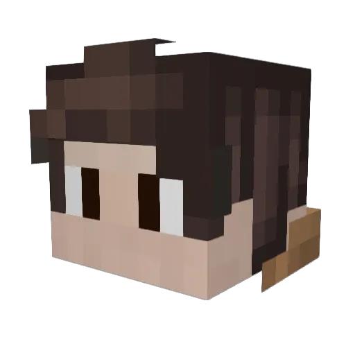 wonard Minecraft avatar head, 3D render