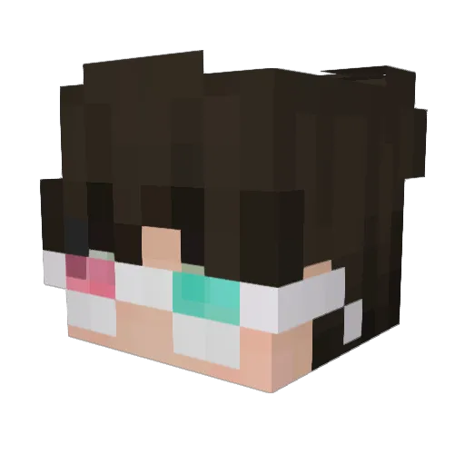 wondefax Minecraft avatar head, 3D render