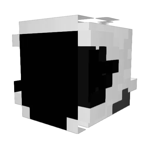wonder_dragon64 Minecraft avatar head, 3D render