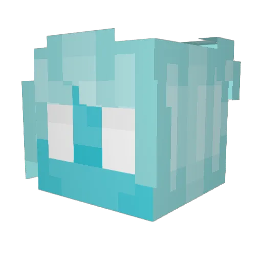 wonderfulaustin Minecraft avatar head, 3D render