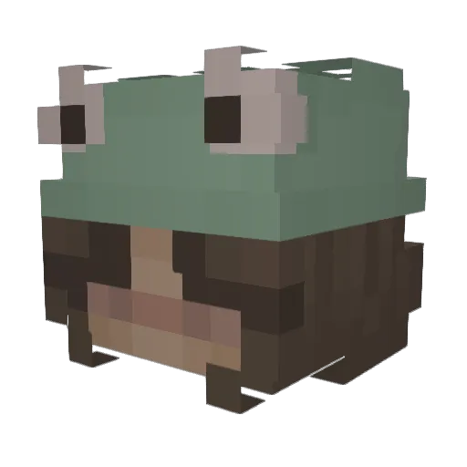 wondergirls Minecraft avatar head, 3D render