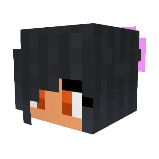 wonderlessboy Minecraft avatar head, 3D render