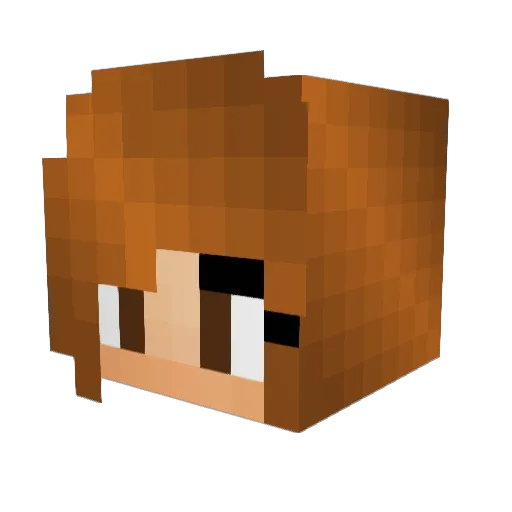 wonderpeep98 Minecraft avatar head, 3D render