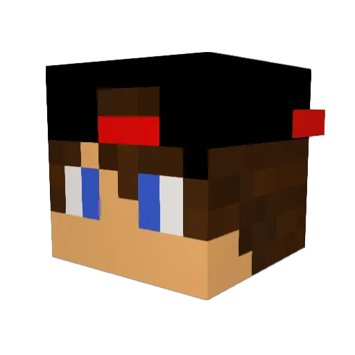wonderpus Minecraft avatar head, 3D render