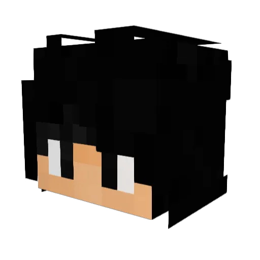 wonemore Minecraft avatar head, 3D render