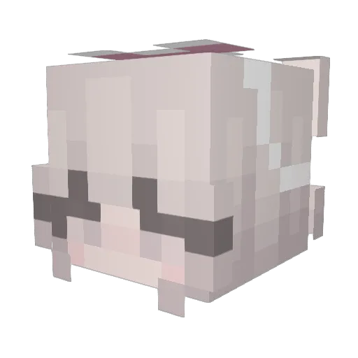 wonendie23 Minecraft avatar head, 3D render