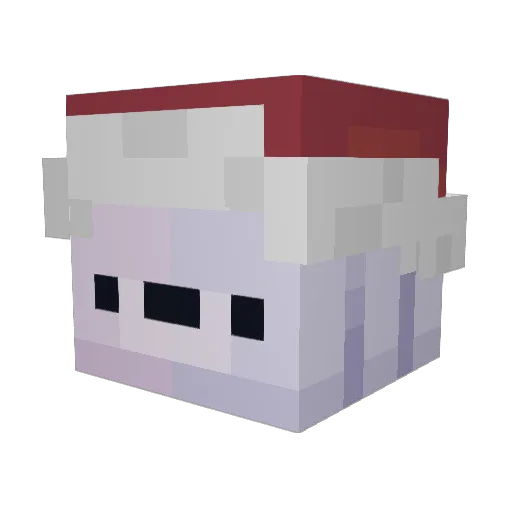 wonflers Minecraft avatar head, 3D render