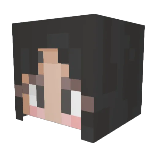 wongwayxd Minecraft avatar head, 3D render