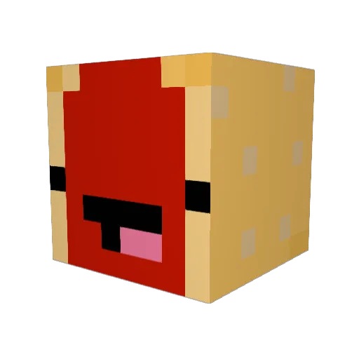 wonho0511 Minecraft avatar head, 3D render