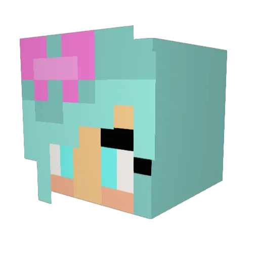 wonkieramoeba62 Minecraft avatar head, 3D render