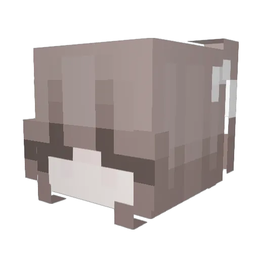 wonly1uv_ Minecraft avatar head, 3D render