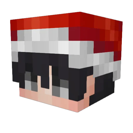 wonn_aa Minecraft avatar head, 3D render