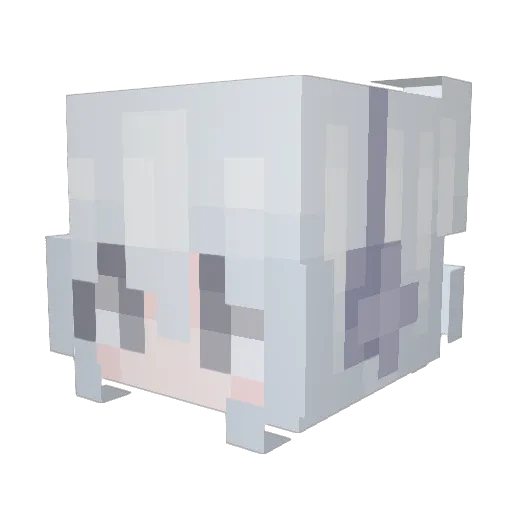wonnana Minecraft avatar head, 3D render