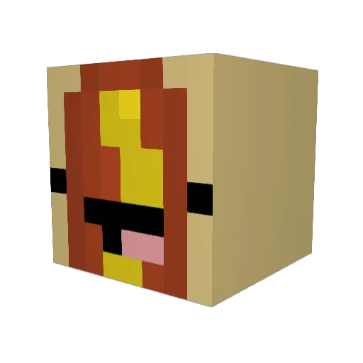 wonne Minecraft avatar head, 3D render