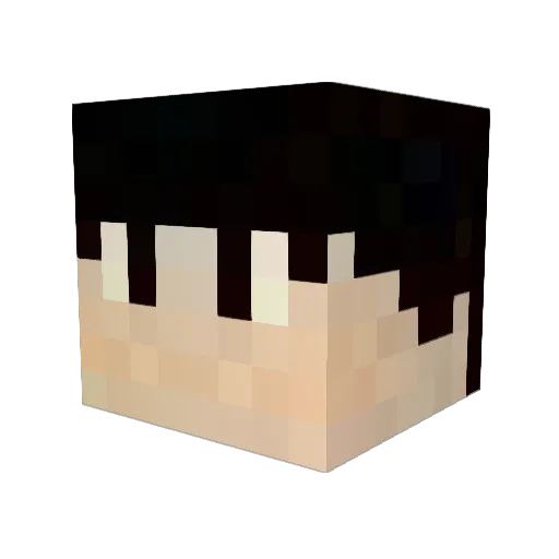 wonsuk2012 Minecraft avatar head, 3D render