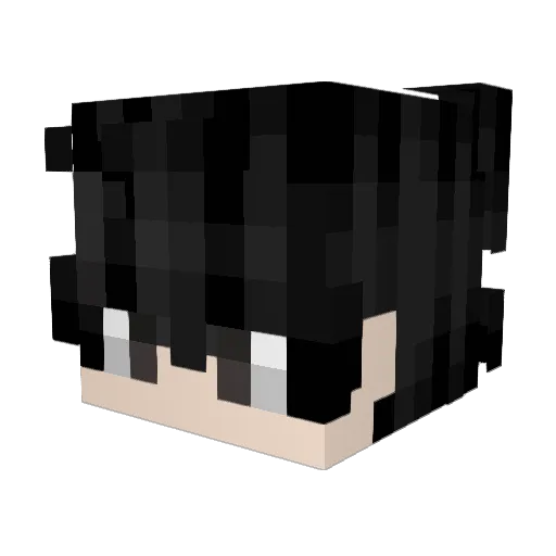 wonthree333 Minecraft avatar head, 3D render