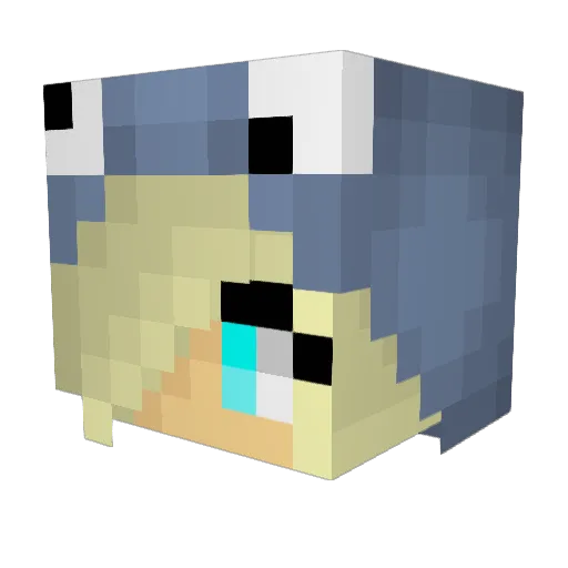 wonton20 Minecraft avatar head, 3D render