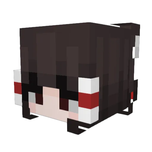 wontus3 Minecraft avatar head, 3D render