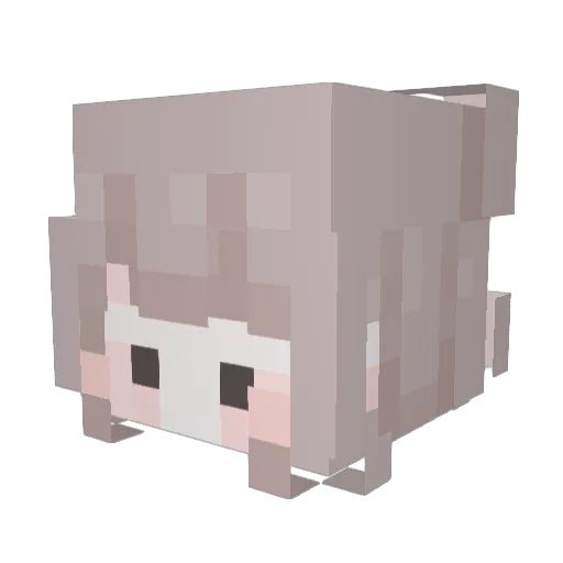 wony_lala Minecraft avatar head, 3D render