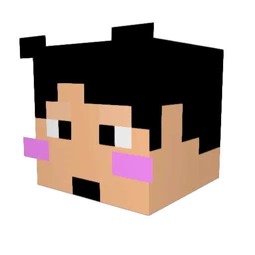 woo_in125 Minecraft avatar head, 3D render