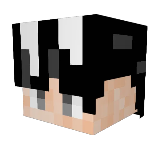 woo_sol Minecraft avatar head, 3D render
