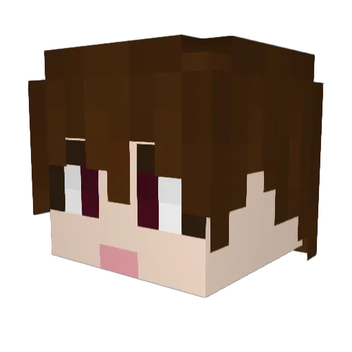 woo_ter Minecraft avatar head, 3D render