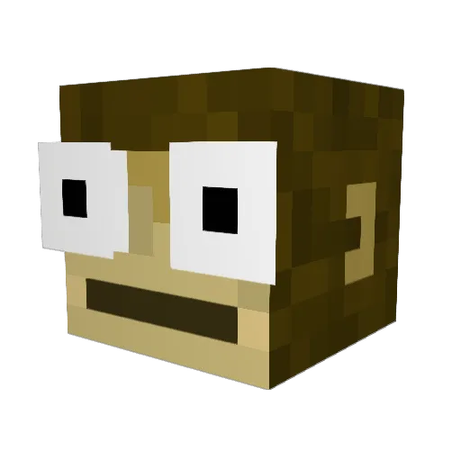woockhardt Minecraft avatar head, 3D render