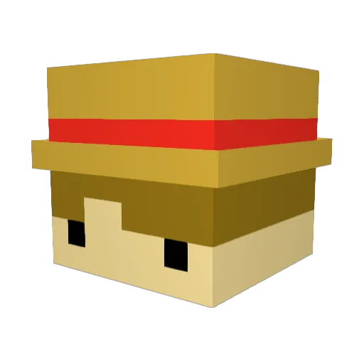wood11044 Minecraft avatar head, 3D render