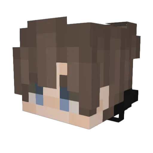 woodaeng5 Minecraft avatar head, 3D render