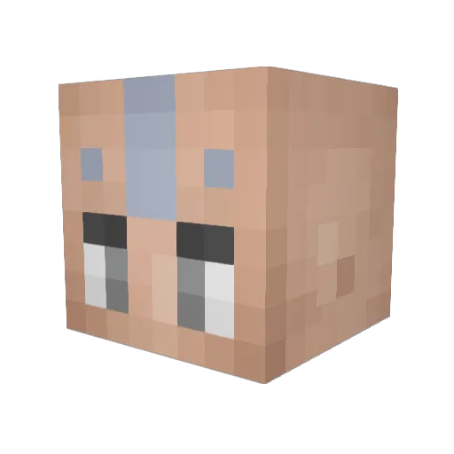 wooddhan Minecraft avatar head, 3D render