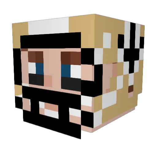 woodenwizard Minecraft avatar head, 3D render