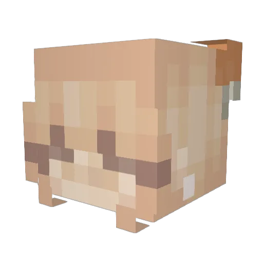woodsiii Minecraft avatar head, 3D render