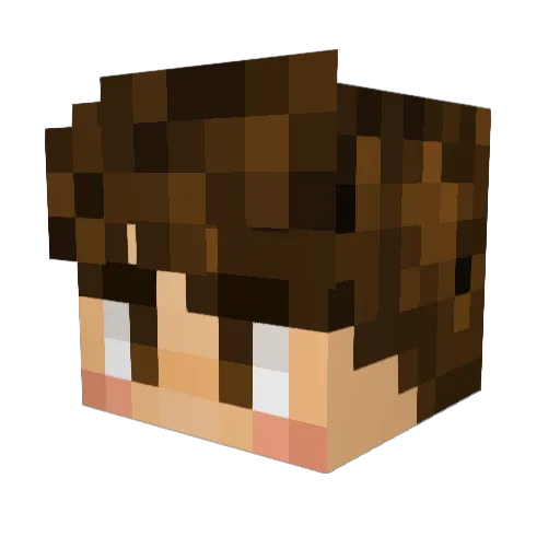 woodstaa Minecraft avatar head, 3D render
