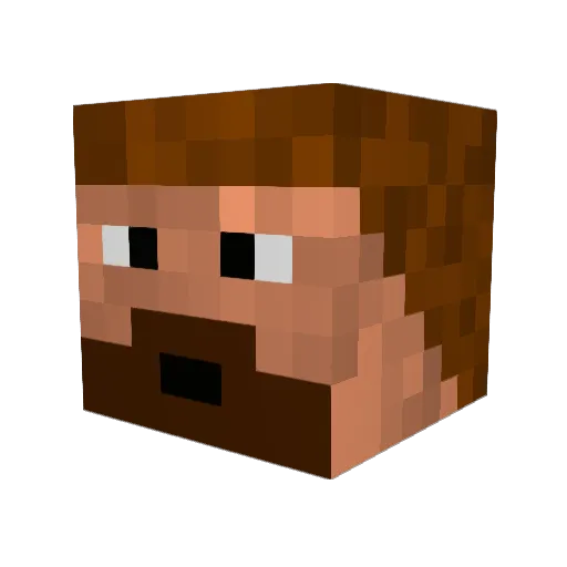 woodychopper Minecraft avatar head, 3D render