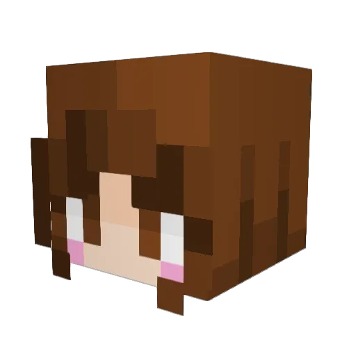 woogi2 Minecraft avatar head, 3D render