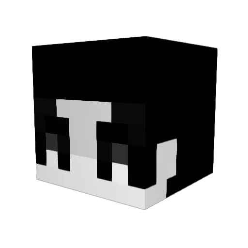 woogyeol Minecraft avatar head, 3D render