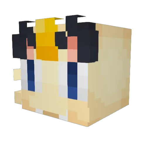 wooh000 Minecraft avatar head, 3D render
