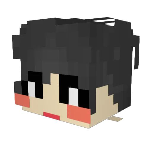 woohyeon__ Minecraft avatar head, 3D render