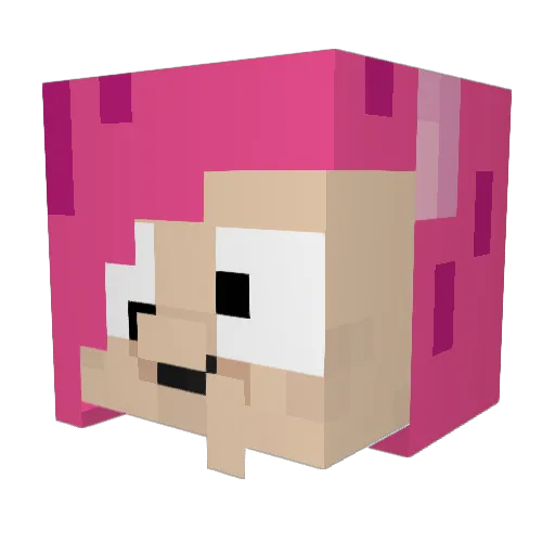wookiecharmander Minecraft avatar head, 3D render