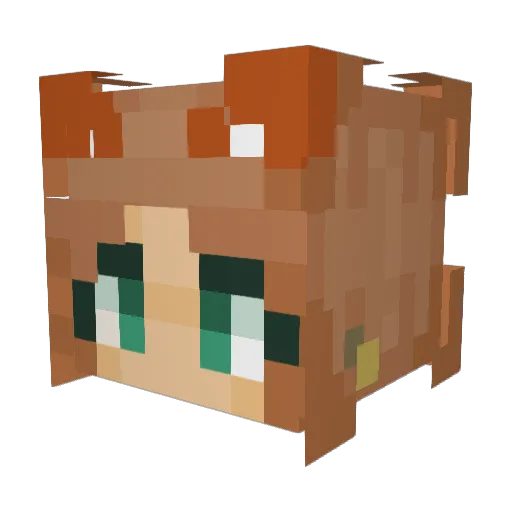 wookiekookie Minecraft avatar head, 3D render