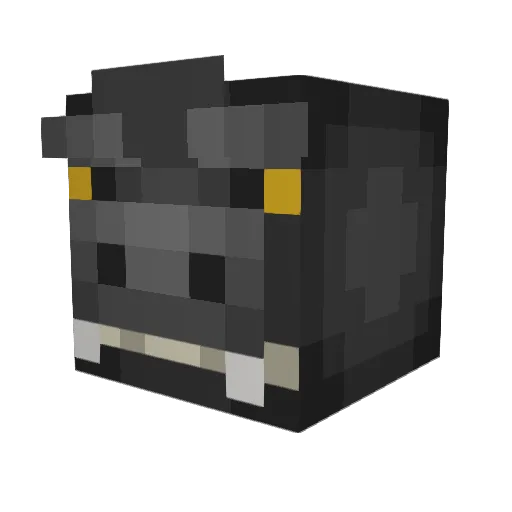 wookipoop Minecraft avatar head, 3D render