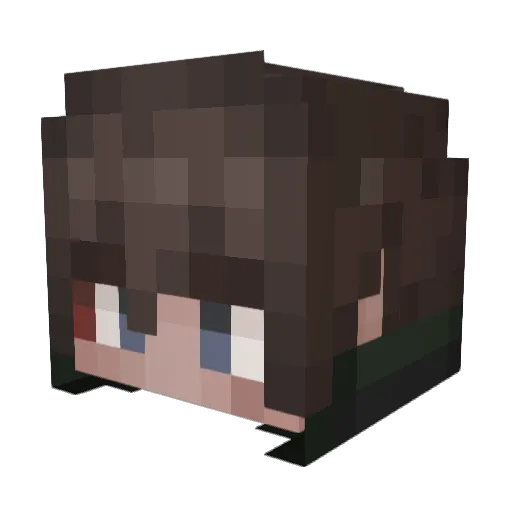 wool_25 Minecraft avatar head, 3D render