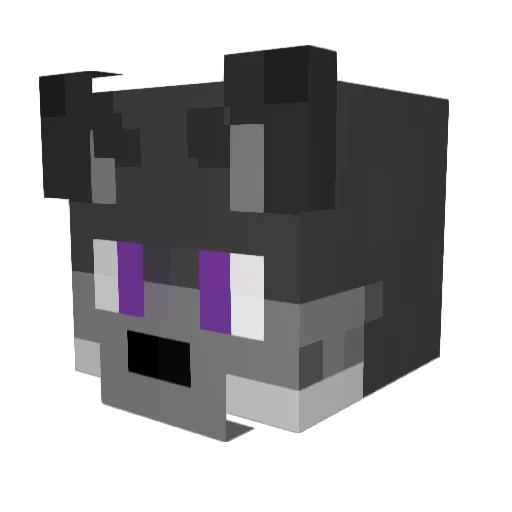 woolfist_bot Minecraft avatar head, 3D render