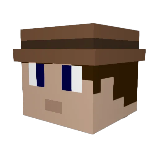 wooliedoolie Minecraft avatar head, 3D render
