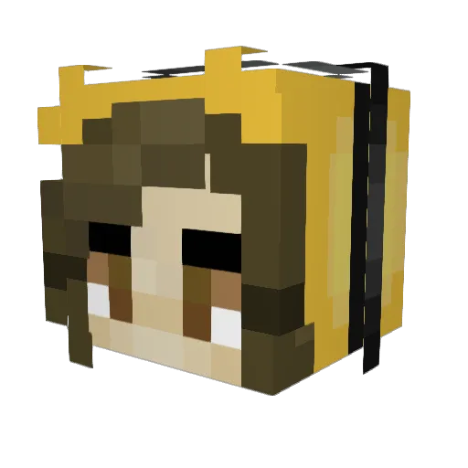 woolmutze19 Minecraft avatar head, 3D render